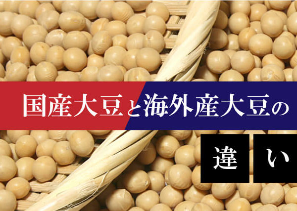 【国産大豆と海外産大豆の違い】品質や安全性、栄養価を徹底解説